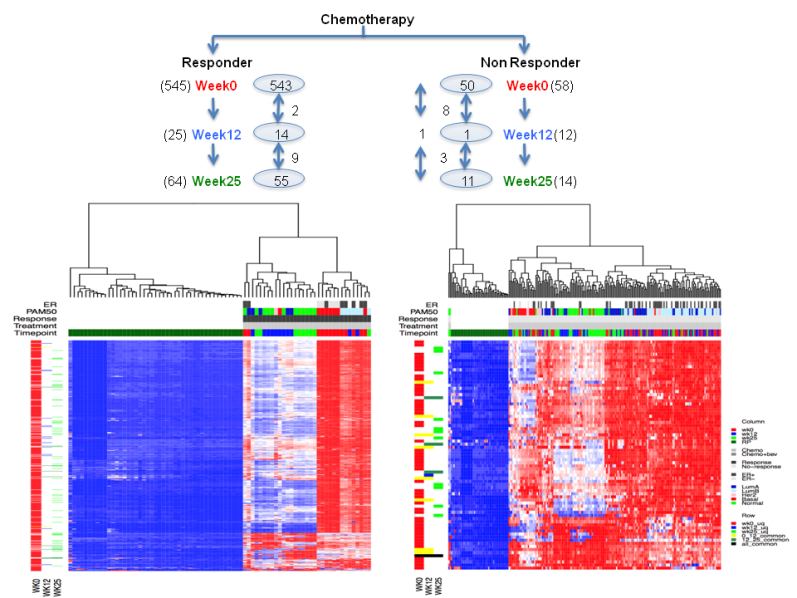 Figure 2. Normal to cancer.